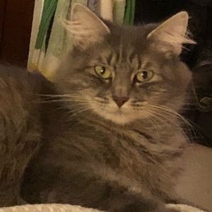 Meet your Posher, Lola